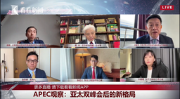 媒体视野｜余南平教授参加东方卫视直播节目「APEC观察：亚太双峰会后的新格局」