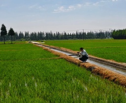 政院学子｜我院硕士研究生李雨璇参与「百县笃行计划」实践团，前往松江区实习实践