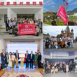 祝贺！我院就业工作案例入选2025年上海高校毕业生就业工作典型案例名单